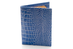 Double Picture Frame in Blue Nile