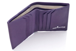 Twofold in Britannia hide