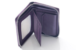 Britannia leather zip around purse